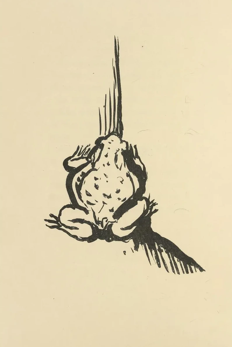 Histoires Naturelles Pl 34
