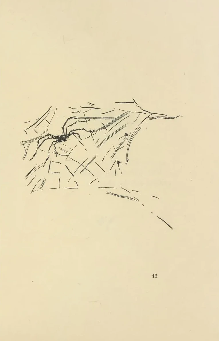 Histoires Naturelles Pl 35