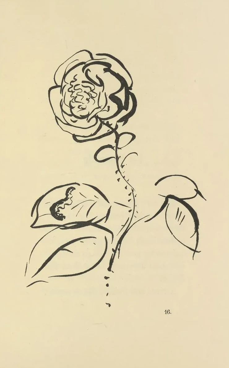 Histoires Naturelles Pl 36