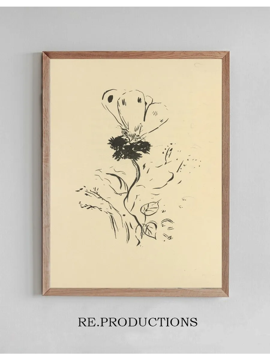 Histoires Naturelles Pl 37
