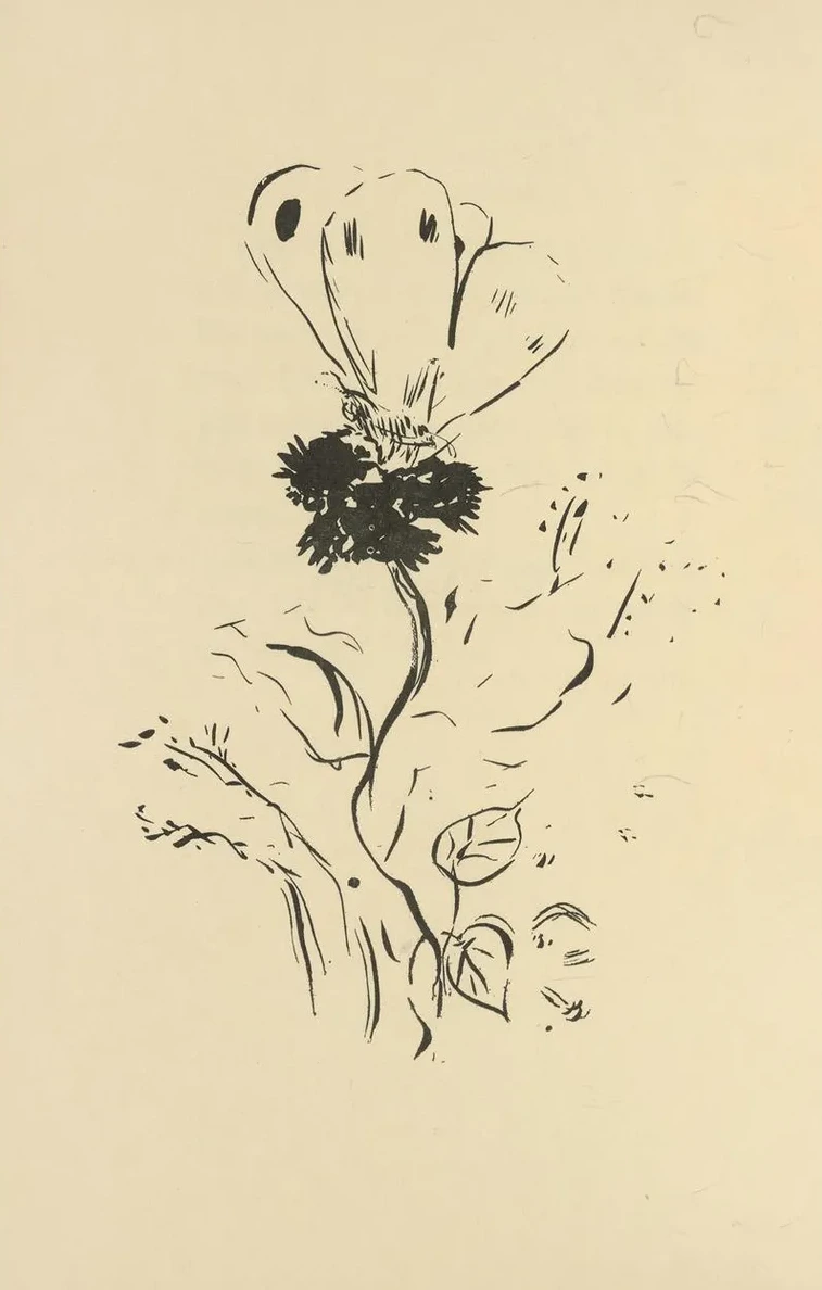 Histoires Naturelles Pl 37