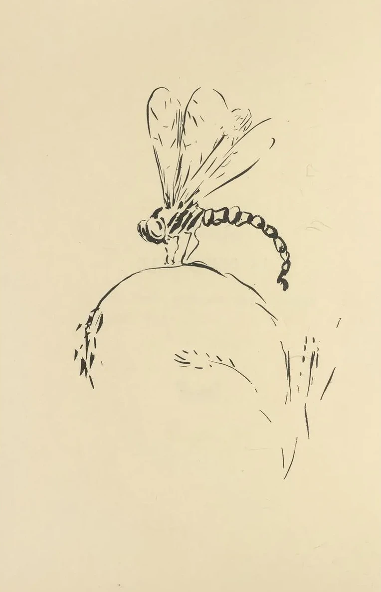 Histoires Naturelles Pl 39