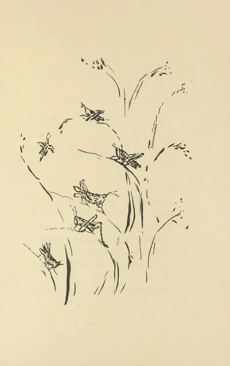 Histoires Naturelles Pl 41