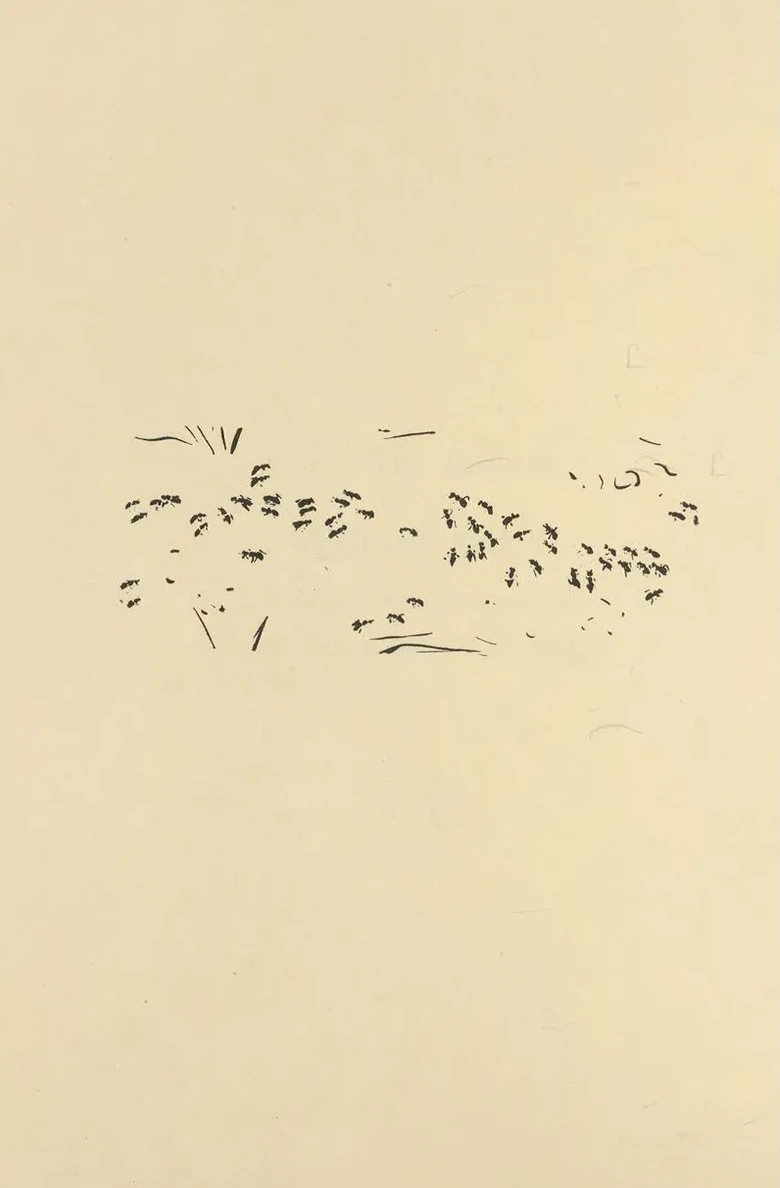 Histoires Naturelles Pl 42