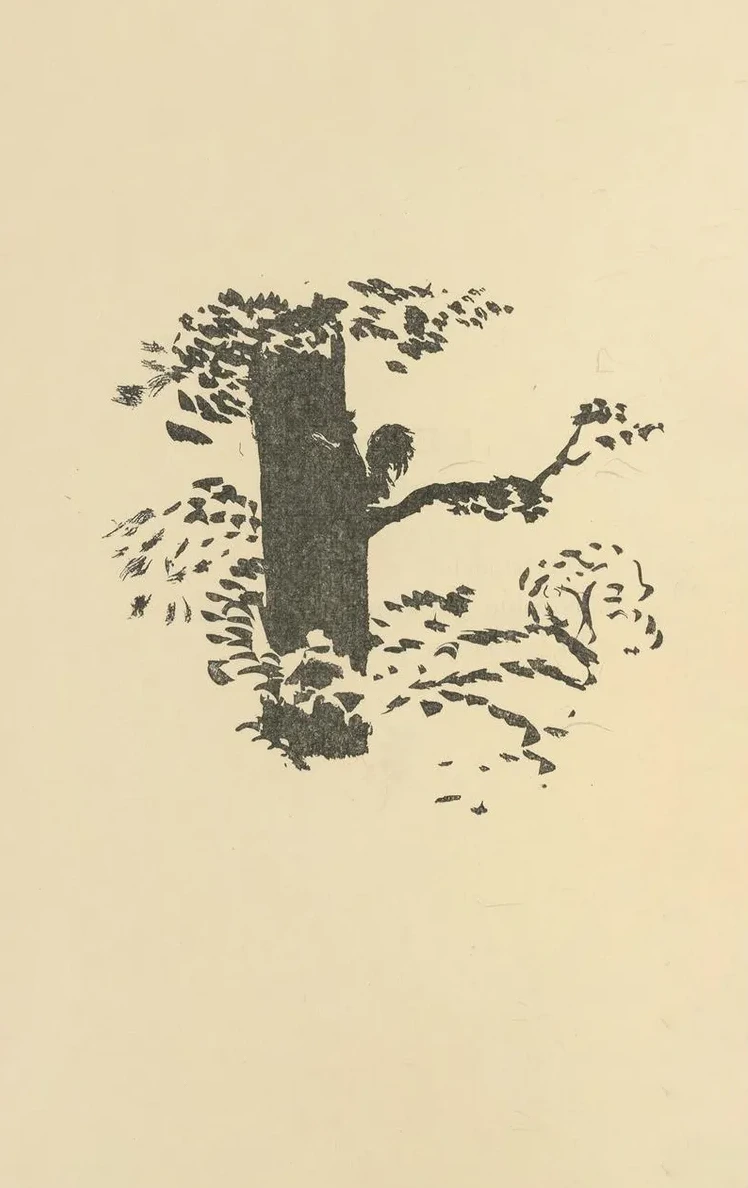 Histoires Naturelles Pl 44