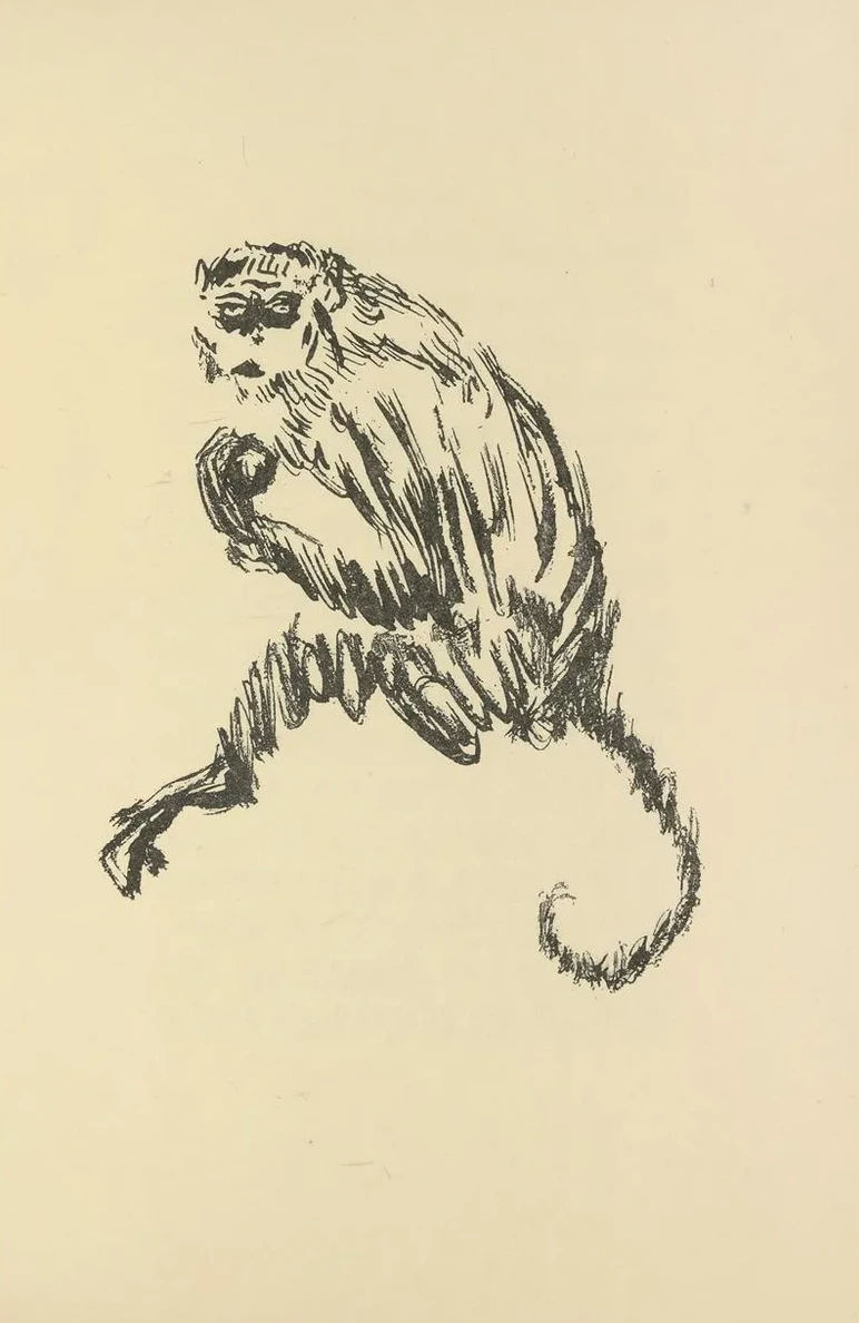 Histoires Naturelles Pl 45