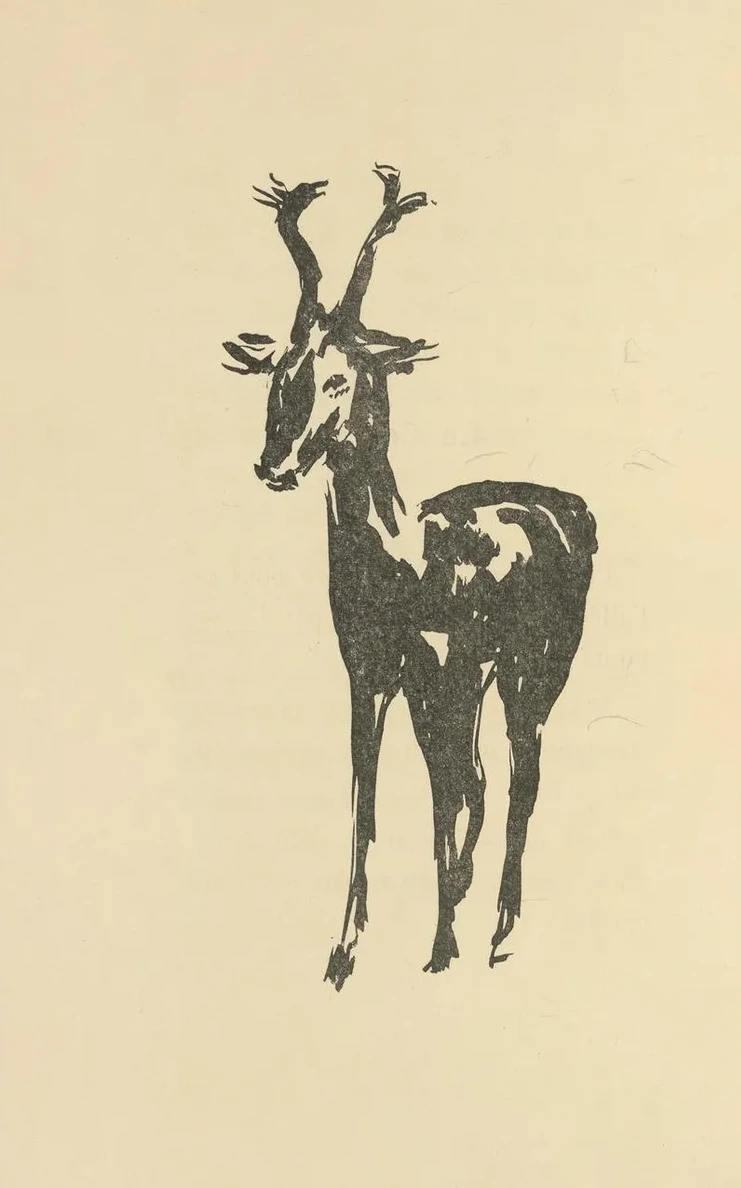 Histoires Naturelles Pl 46
