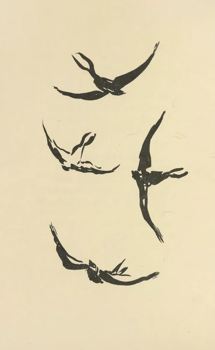 Histoires Naturelles Pl 52