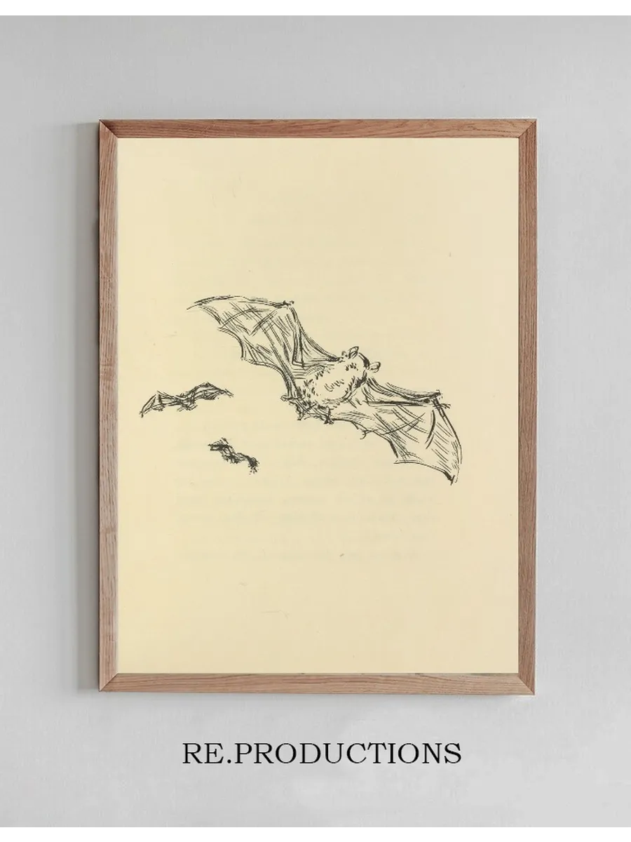 Histoires Naturelles Pl 53