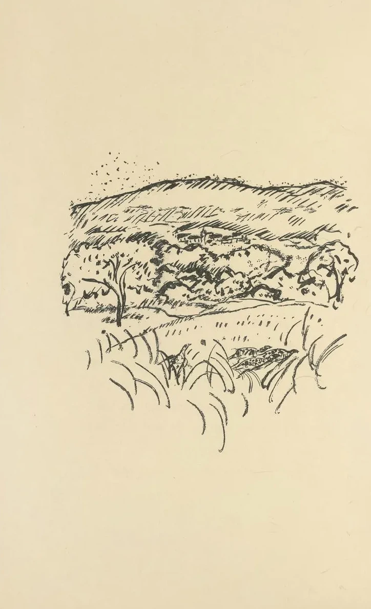 Histoires Naturelles Pl 61