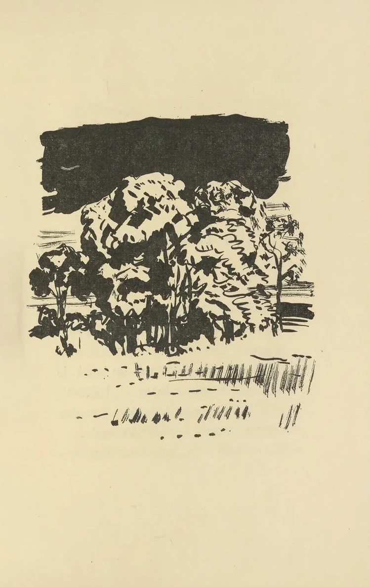Histoires Naturelles Pl 63