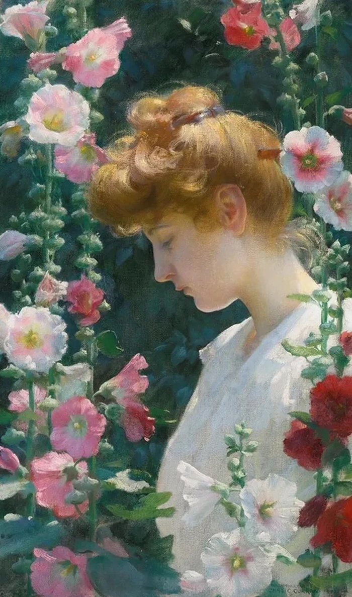 Hollyhocks and Sunlight