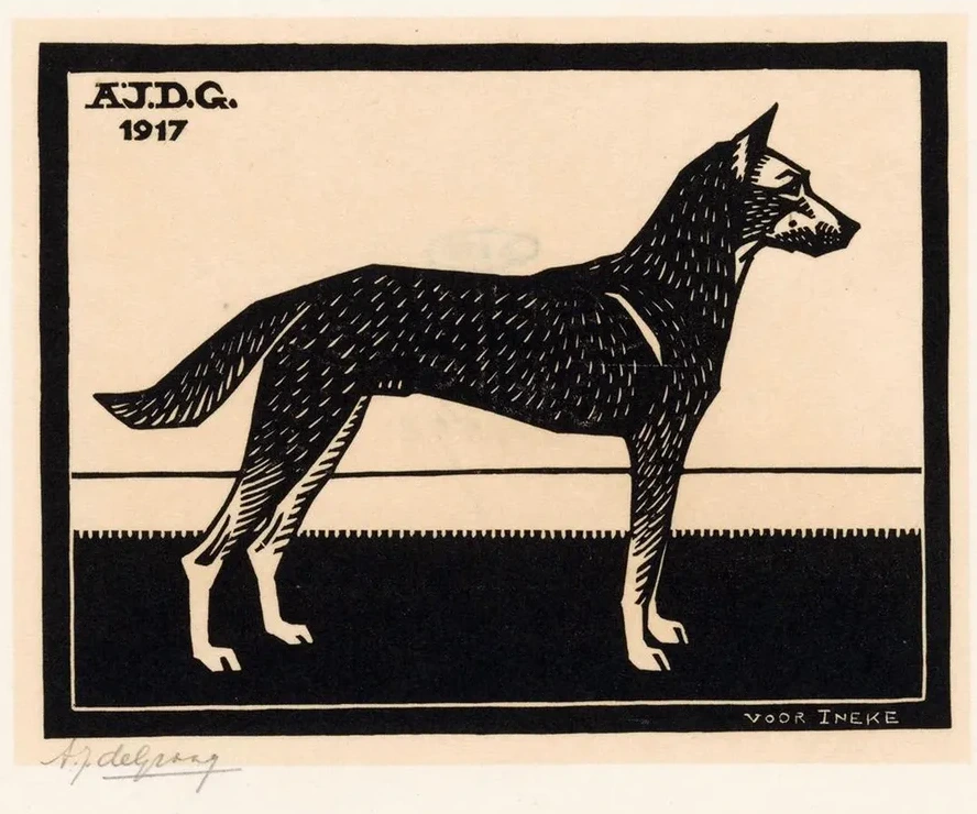 Hond