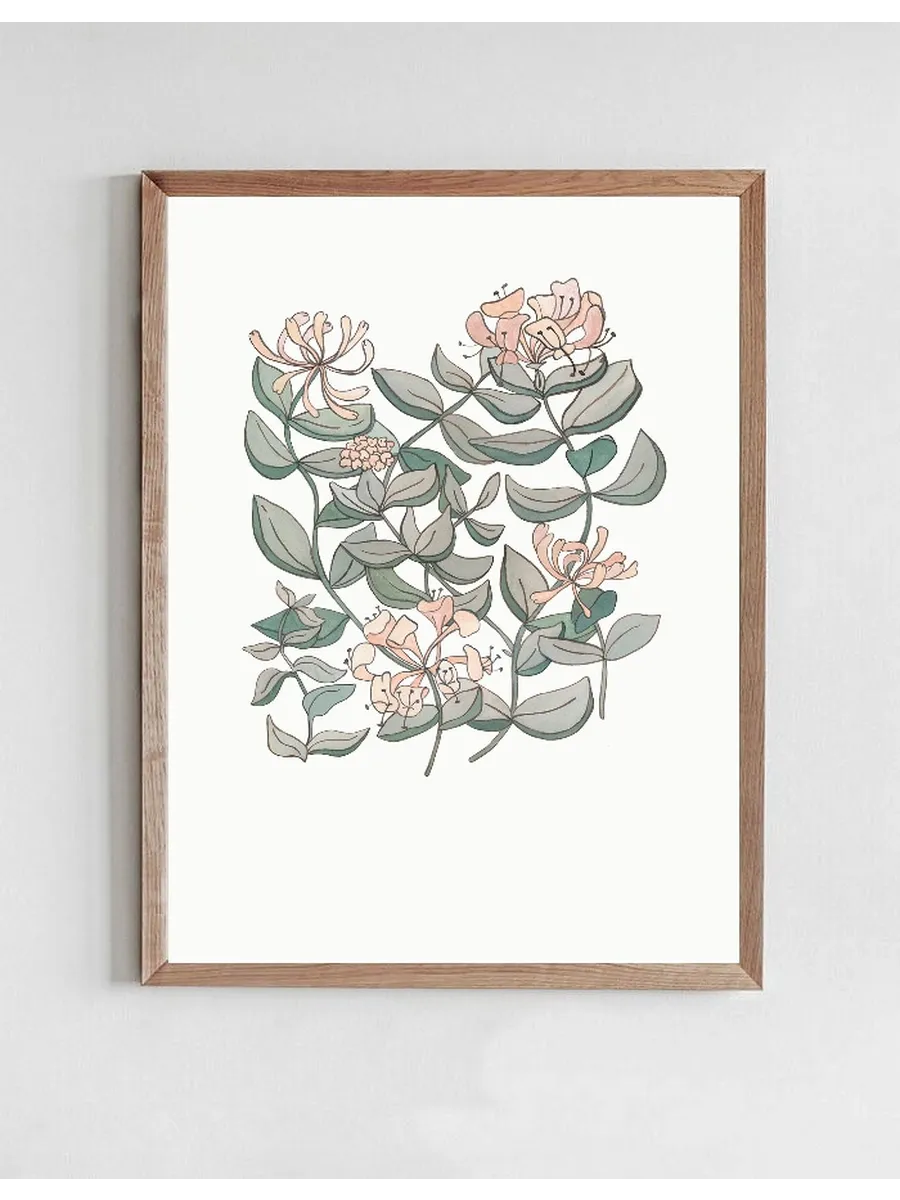Honeysuckle