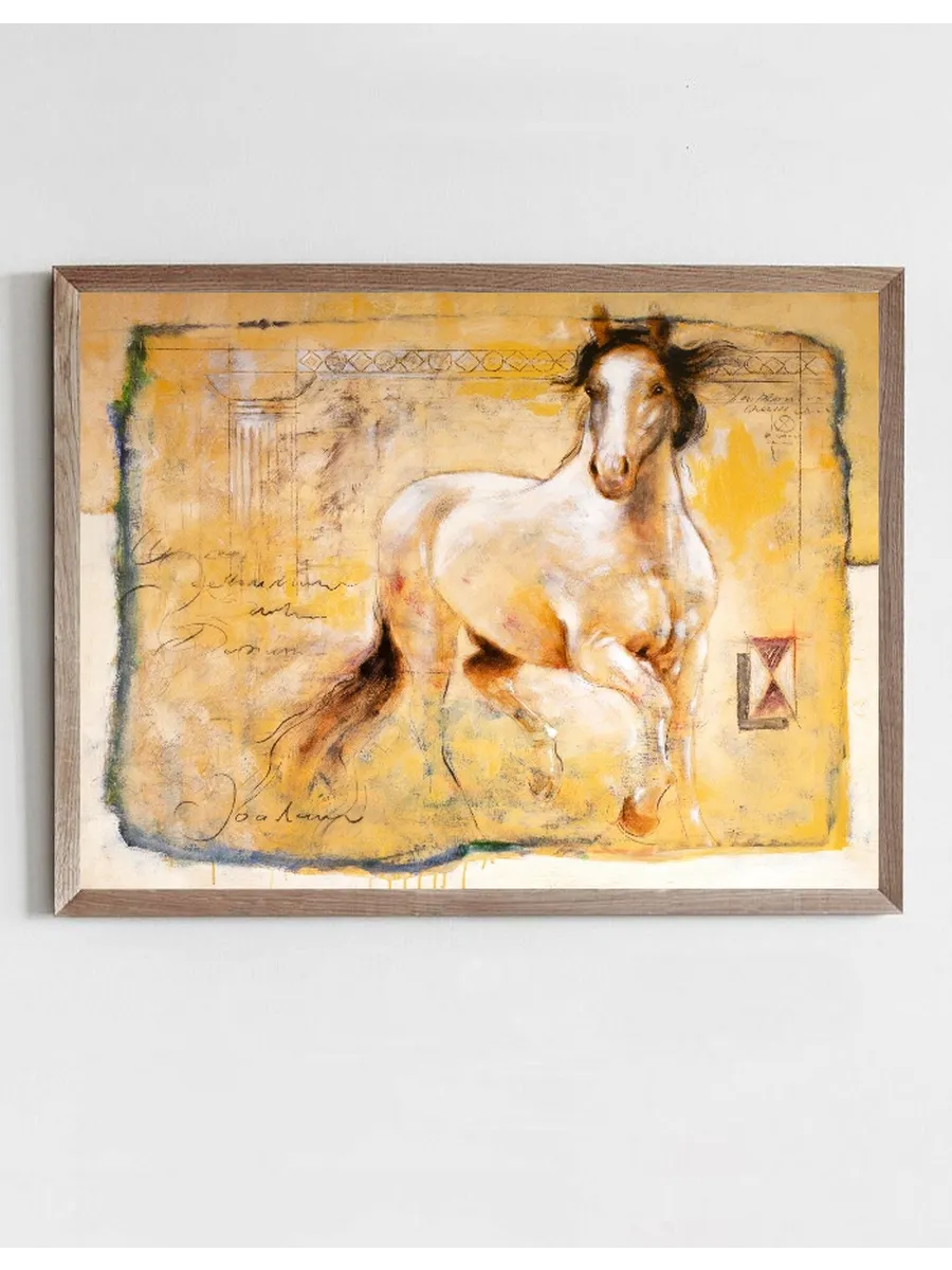 Horse - The Elegance