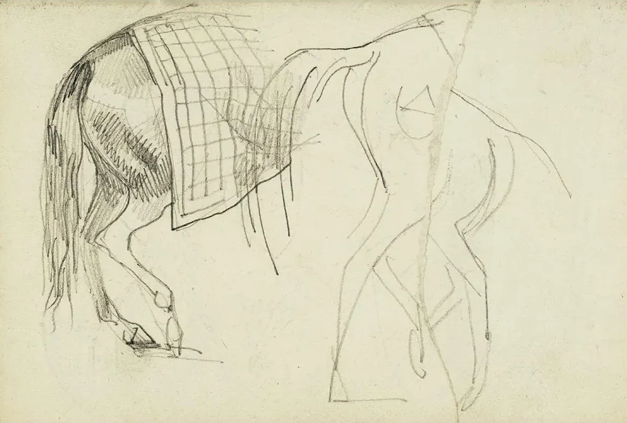 Horse Studies