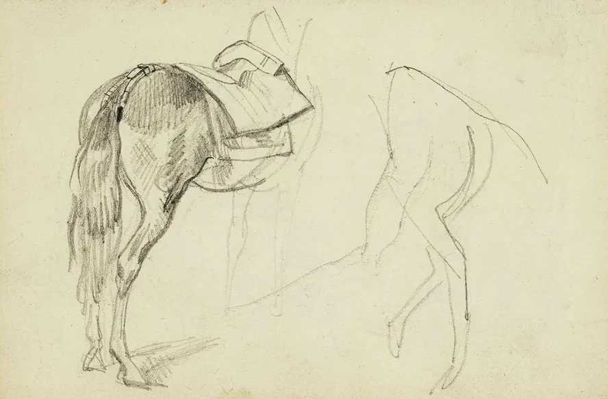 Horse Studies