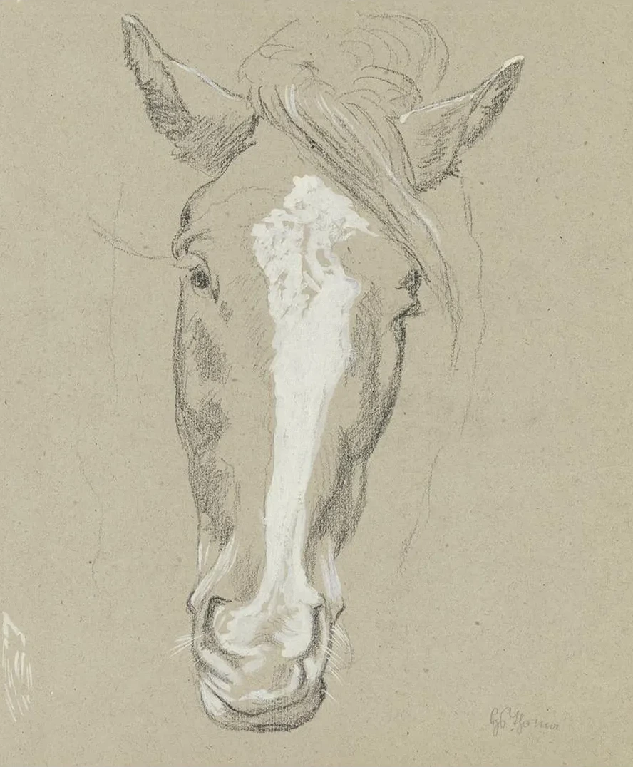 Horse Head