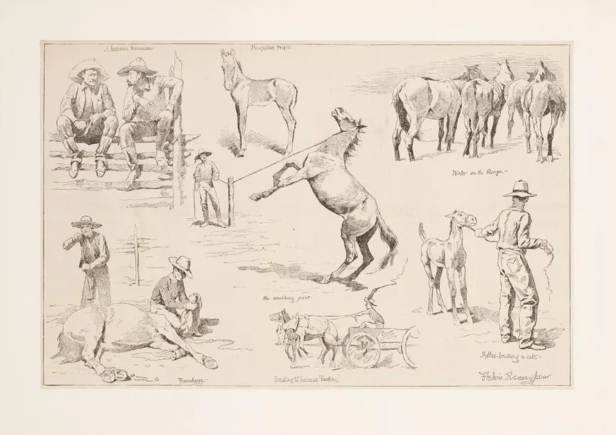 Horse Raising in the Northwest