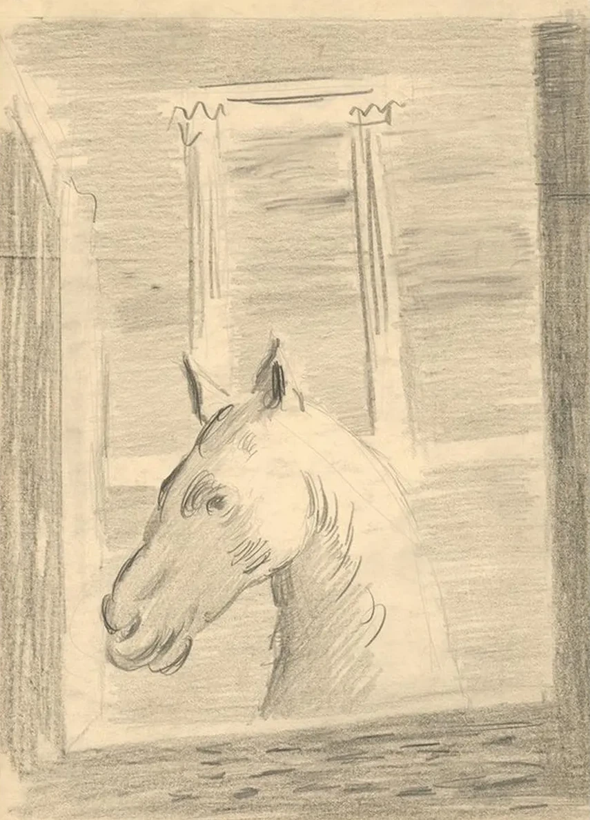 Horse's Head