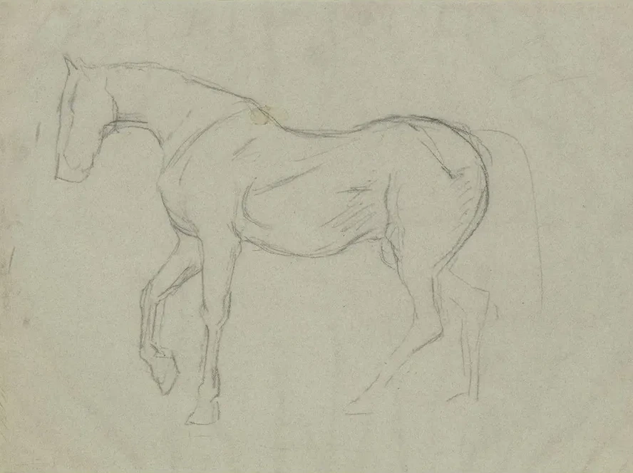 Horse Study