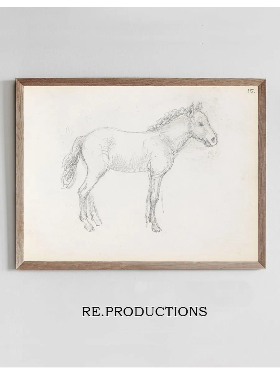 Horse Study