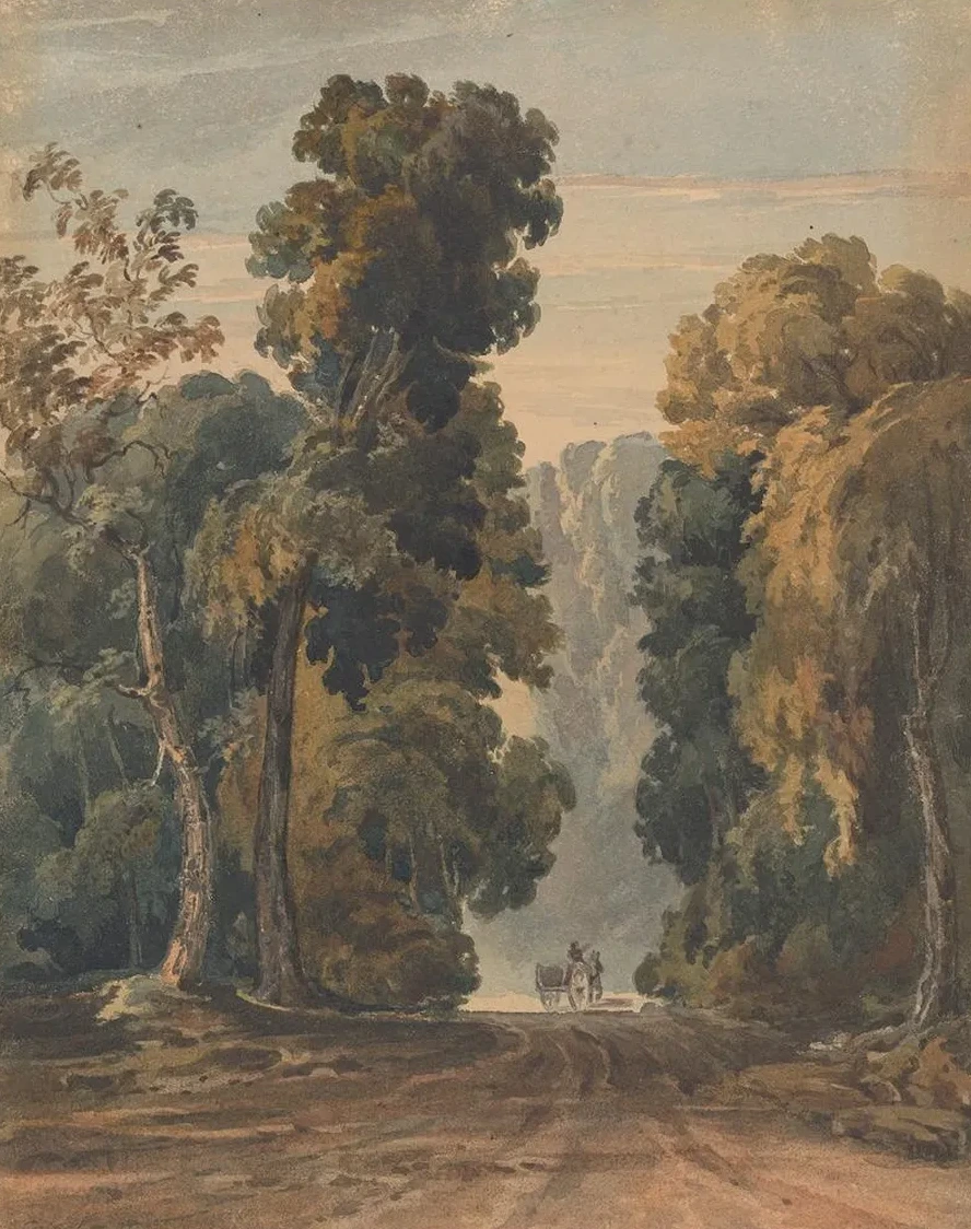 Horse, Cart and Driver on Wide, Tree - lined Lane