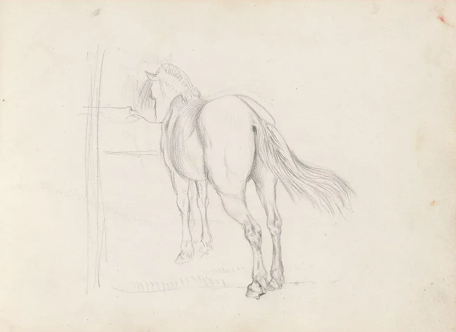 Horse
