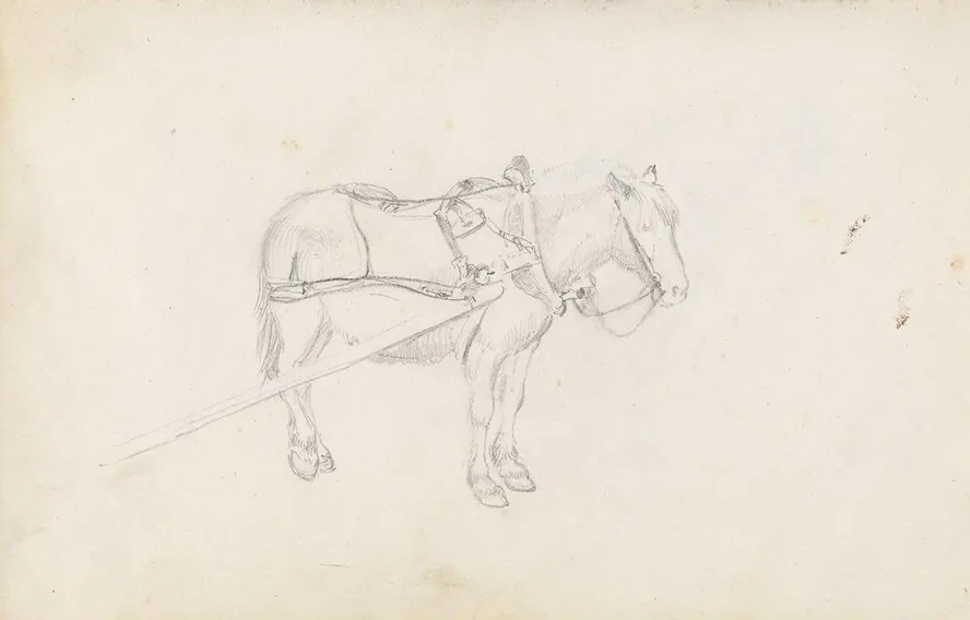 Horse
