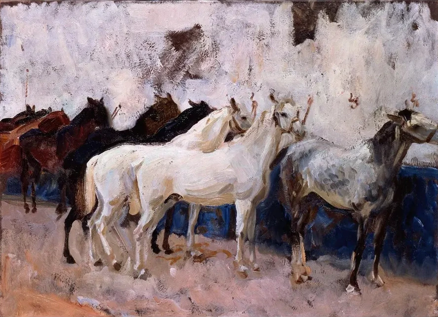 Horses at Palma