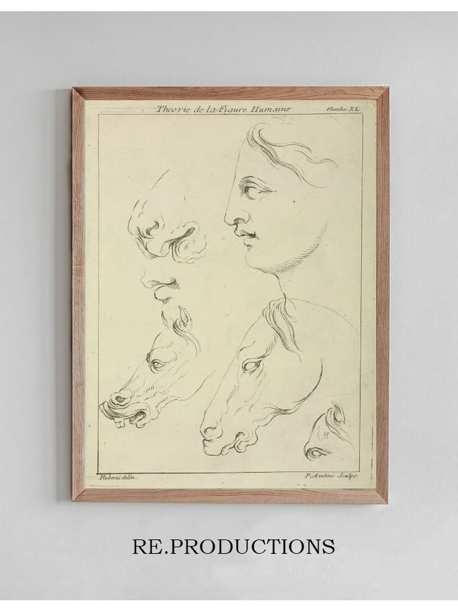 Horses Heads and Human Head in Profile, with Detail of Horse's Eye and Nose