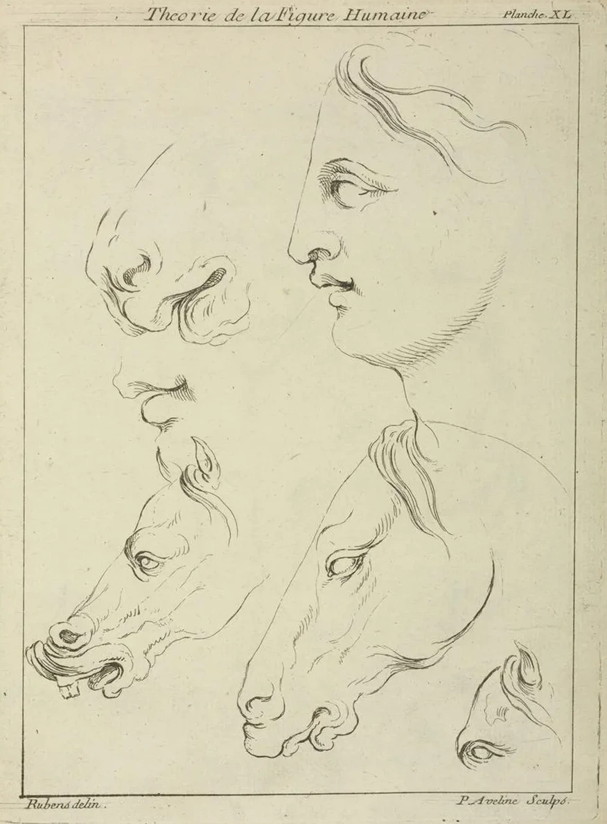Horses Heads and Human Head in Profile, with Detail of Horse's Eye and Nose