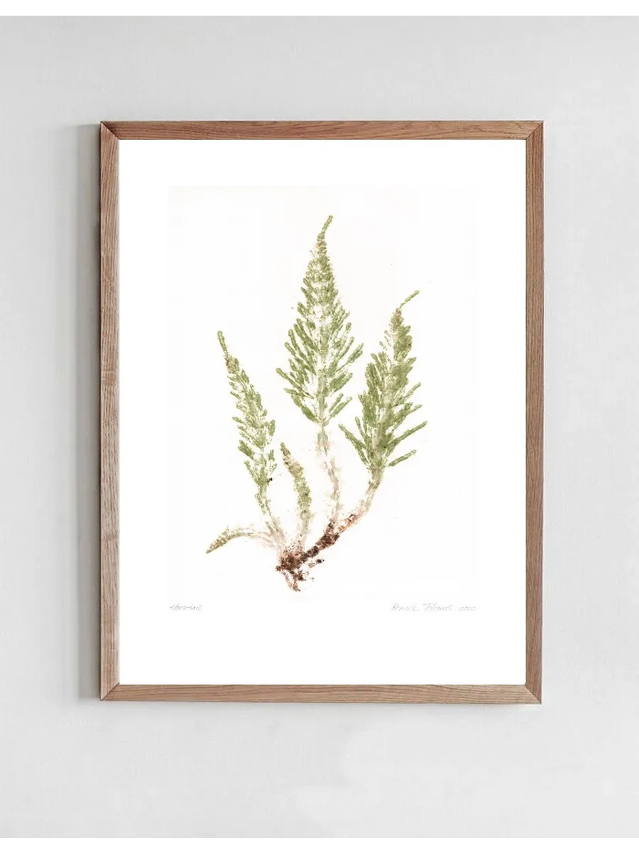 Horsetail Crisp