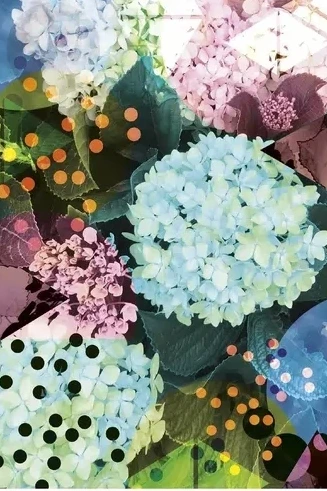 Hortensia - Bl Green
