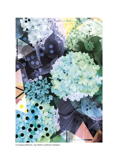 Hortensia - Bl Lilla