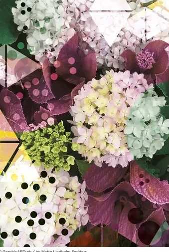 Hortensia - Green R D
