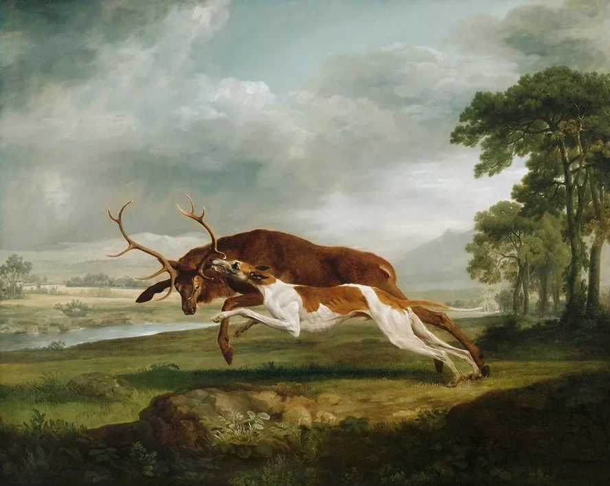 Hound Coursing a Stag