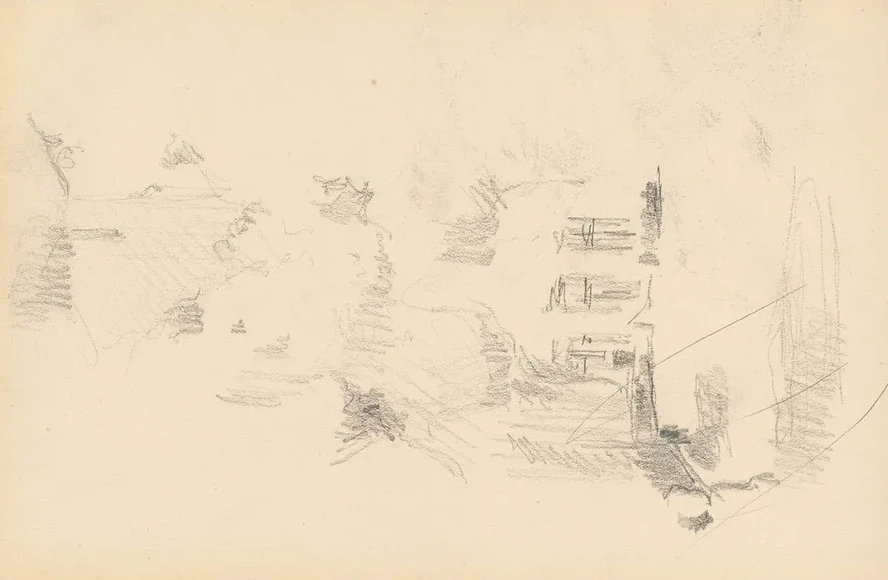 House Surrounded by Vegetation