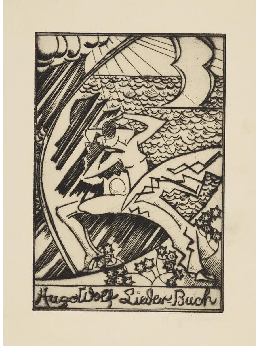 Hugo Wolf Lieder - Buch