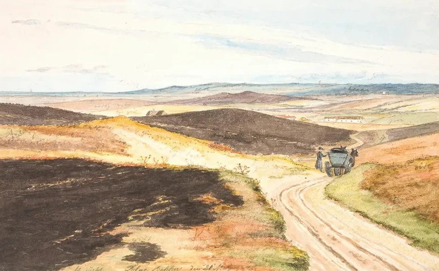 Hulvej I Tolne Bakker, Vendsyssel, 21 Maj 1833