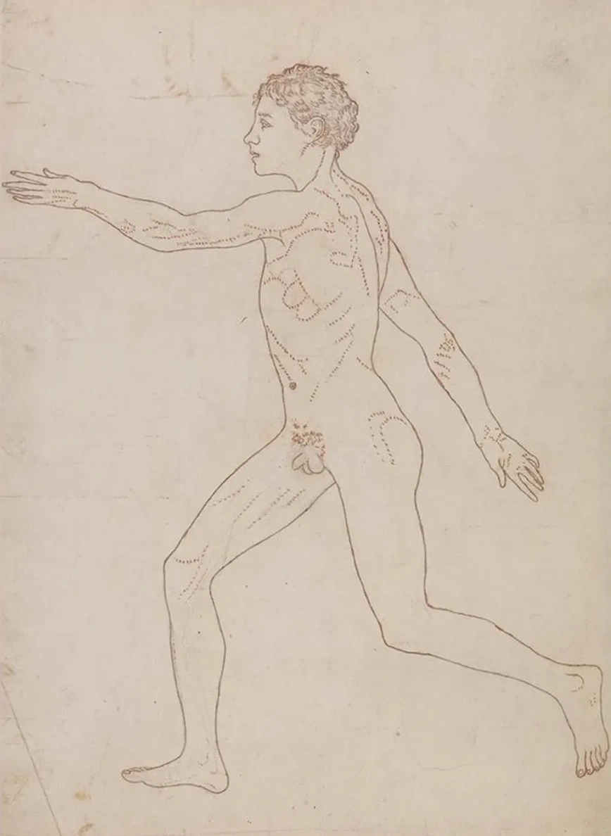 Human Figure, Lateral View