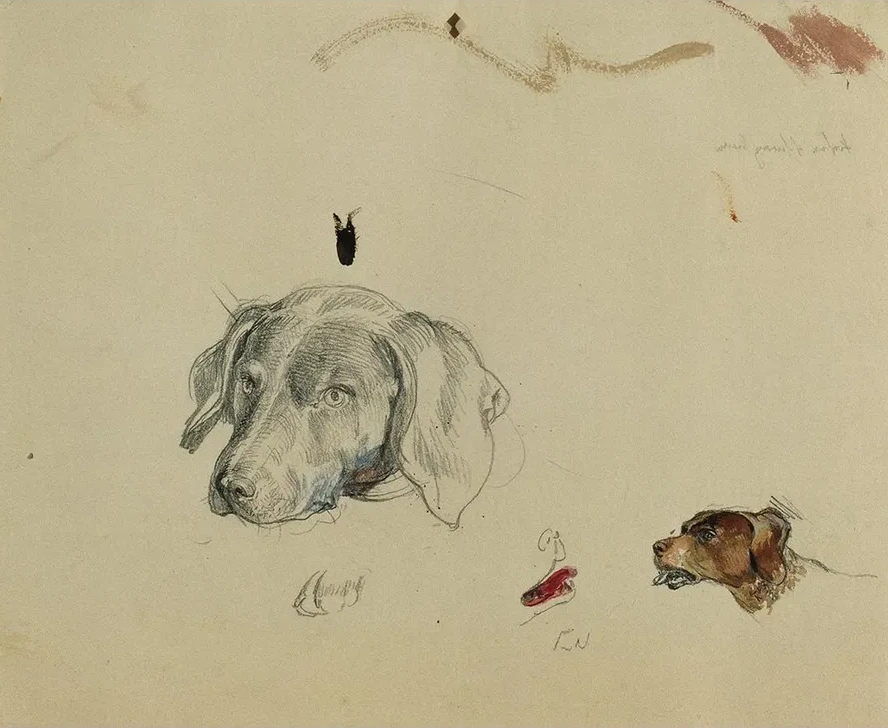 Hundestudie