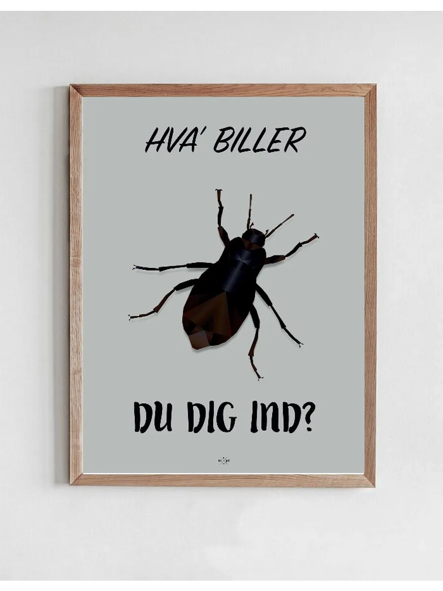 Hva'biller du Dig Ind