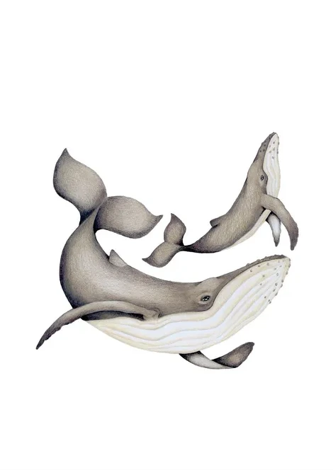 Hvalerne