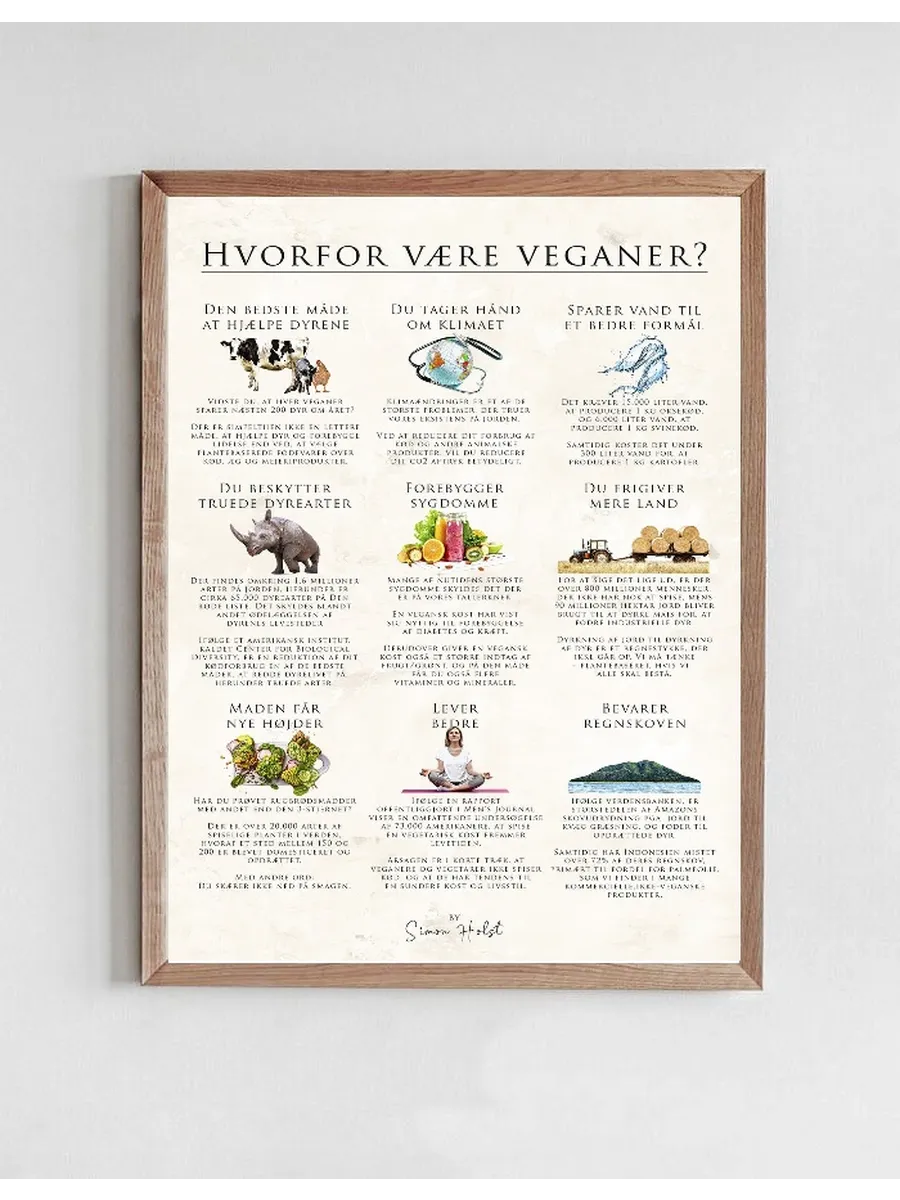 Hvorfor V Re Veganer, Sten
