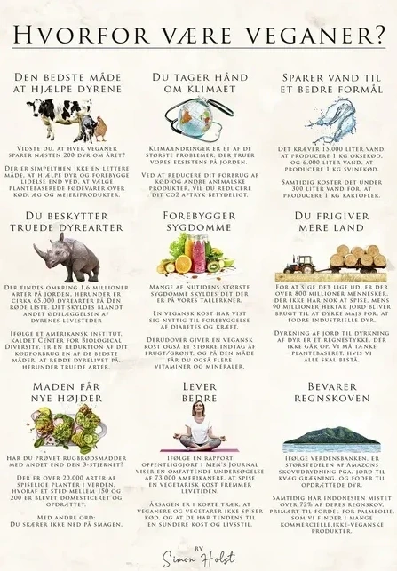 Hvorfor V Re Veganer, Sten