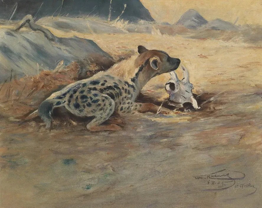 Hy ne auf der Lauer