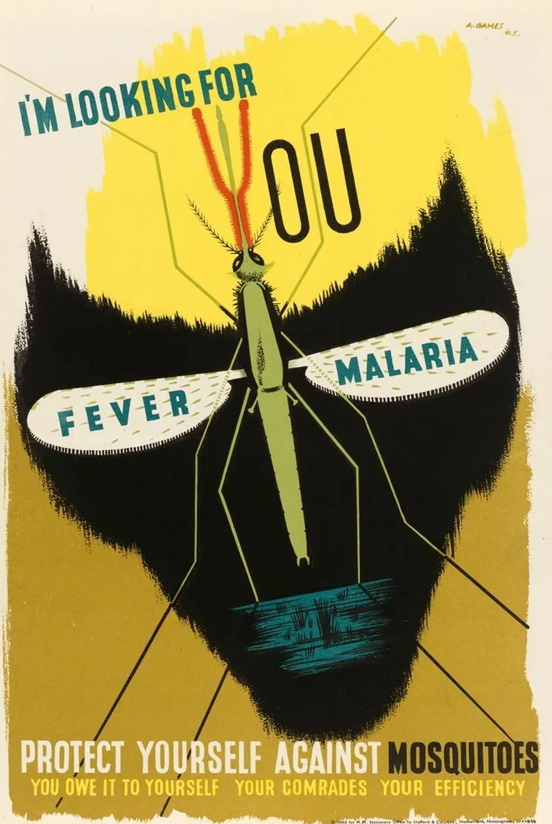 I m Looking for You Fever Malaria