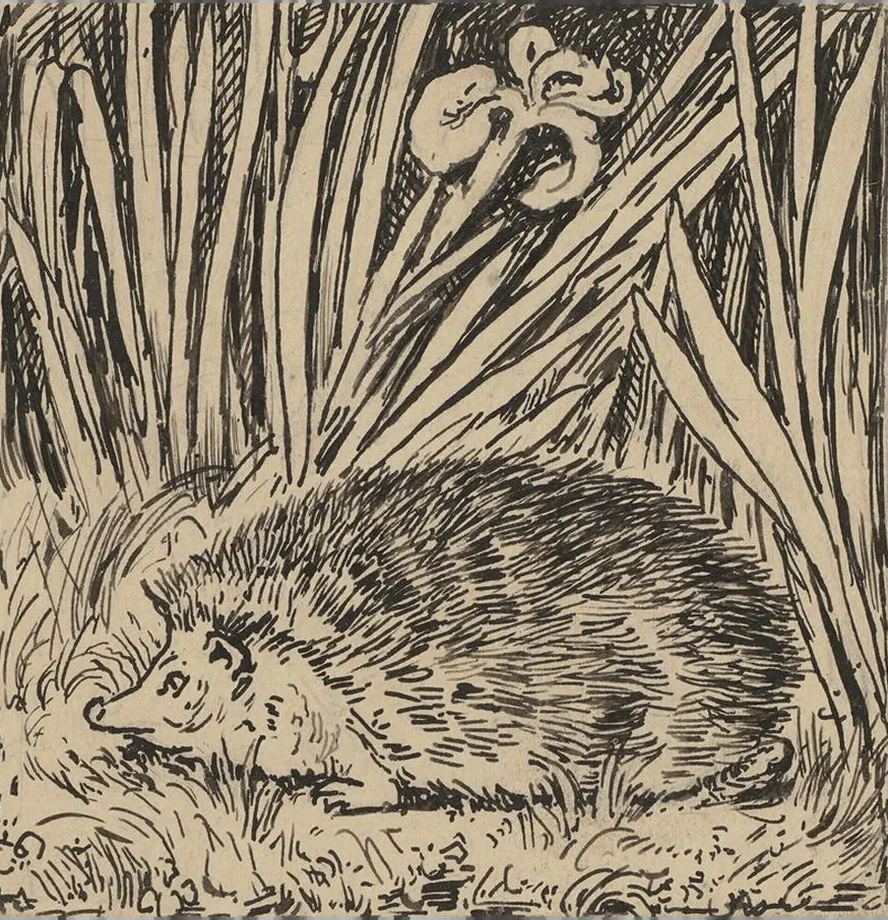 Igel
