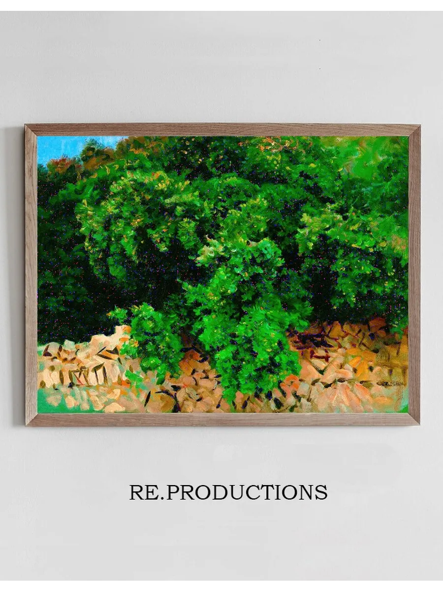 Ilex Wood. Majorca